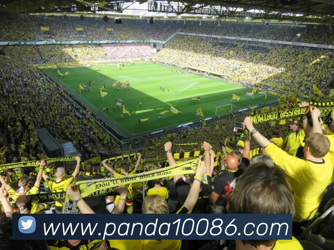 熊猫体育品牌故事