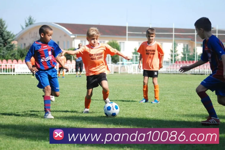 熊猫体育服务体系